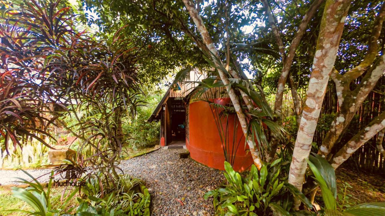 The Mudhouse Hostel Mompiche Bagian luar foto