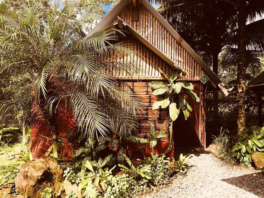 The Mudhouse Hostel Mompiche Bagian luar foto